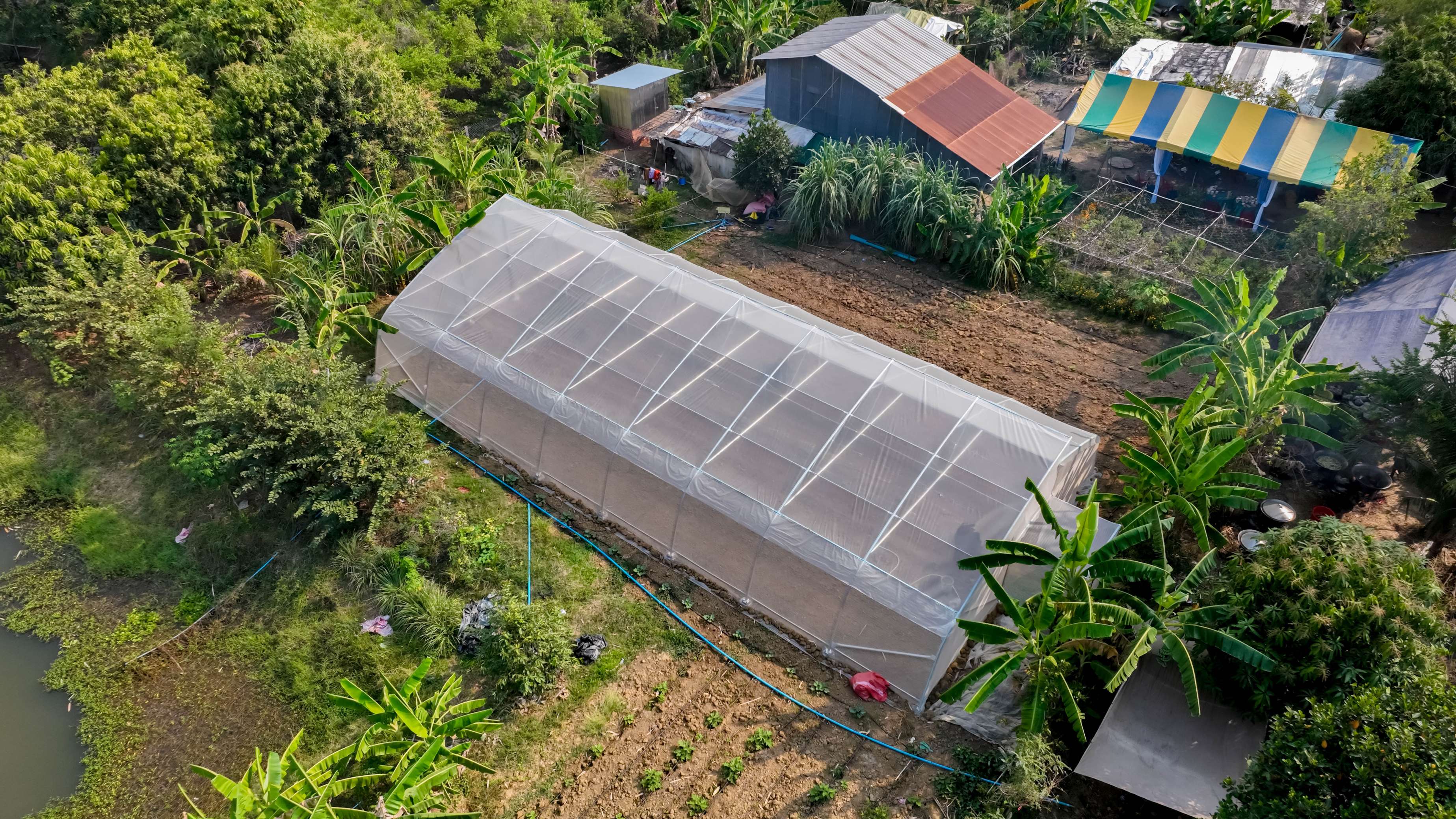 ISI Greenhouse