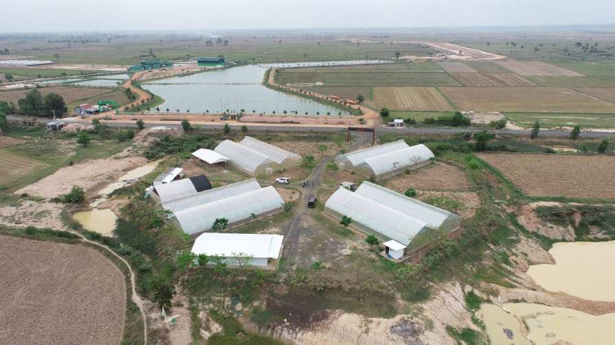 Greenhouse