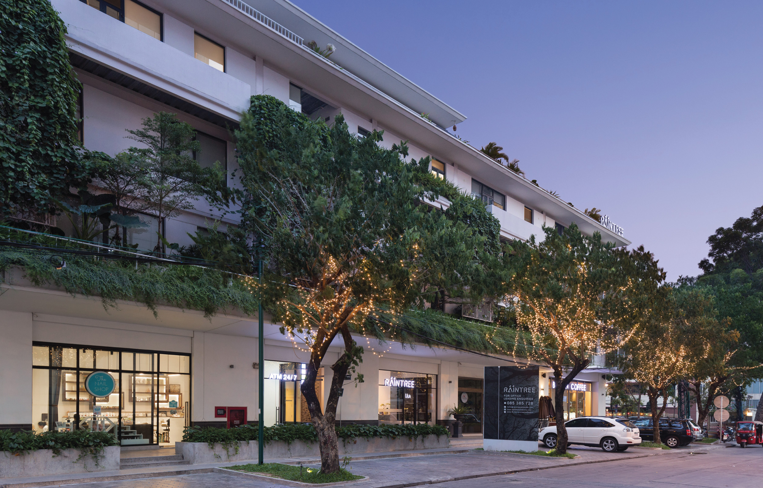 Raintree